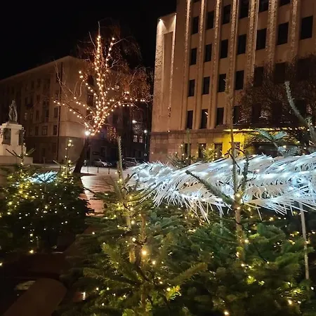 Tiny Center G * Kaunas