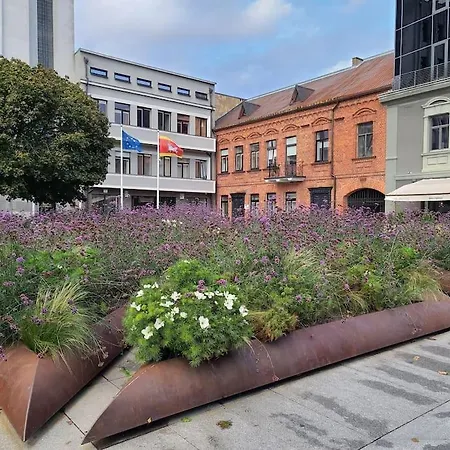 Tiny Center G Apartment Kaunas