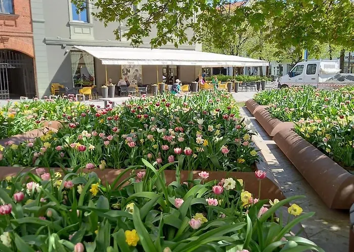 Apartment Tiny Center G *