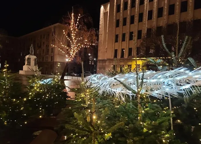 Tiny Center G * Kaunas