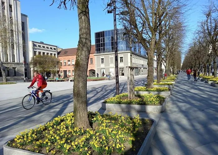 Apartment Tiny Center G